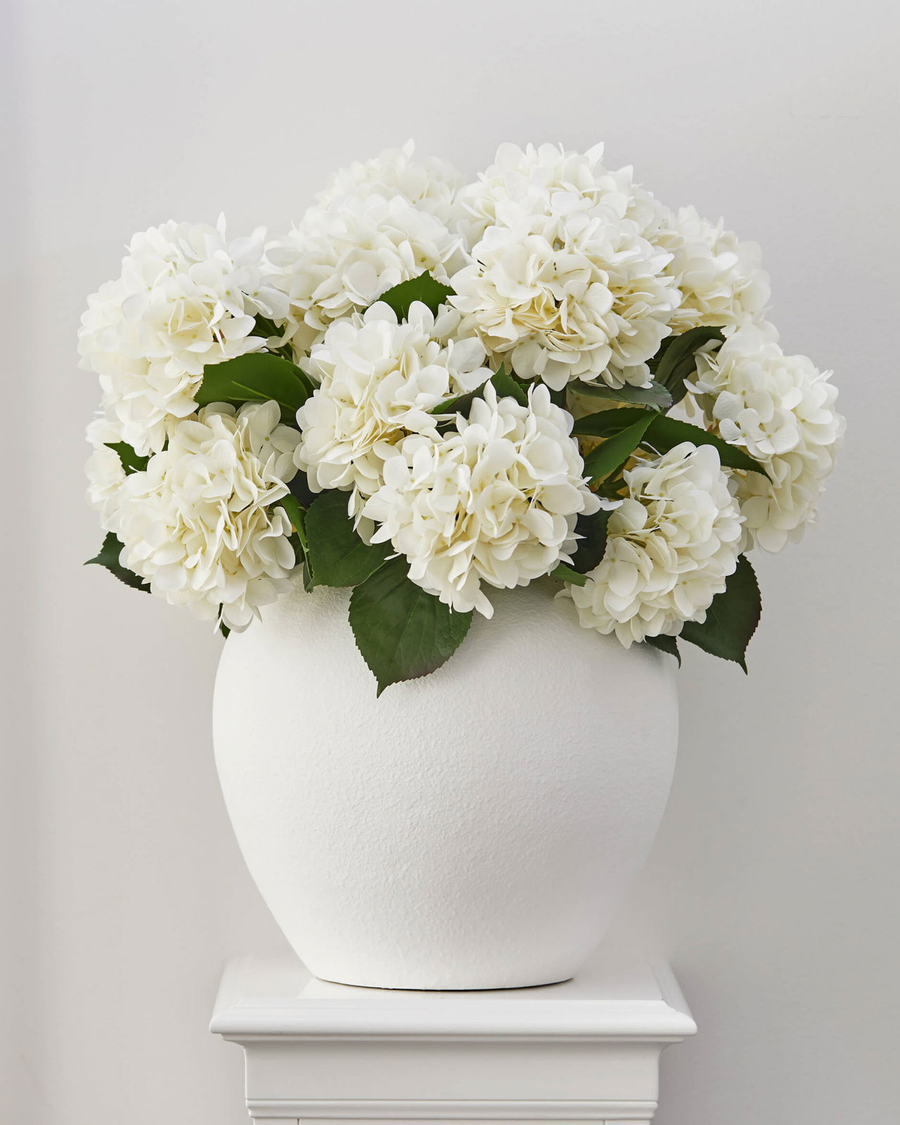 Hortensia snittblomma vit