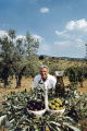 Armando Orsini