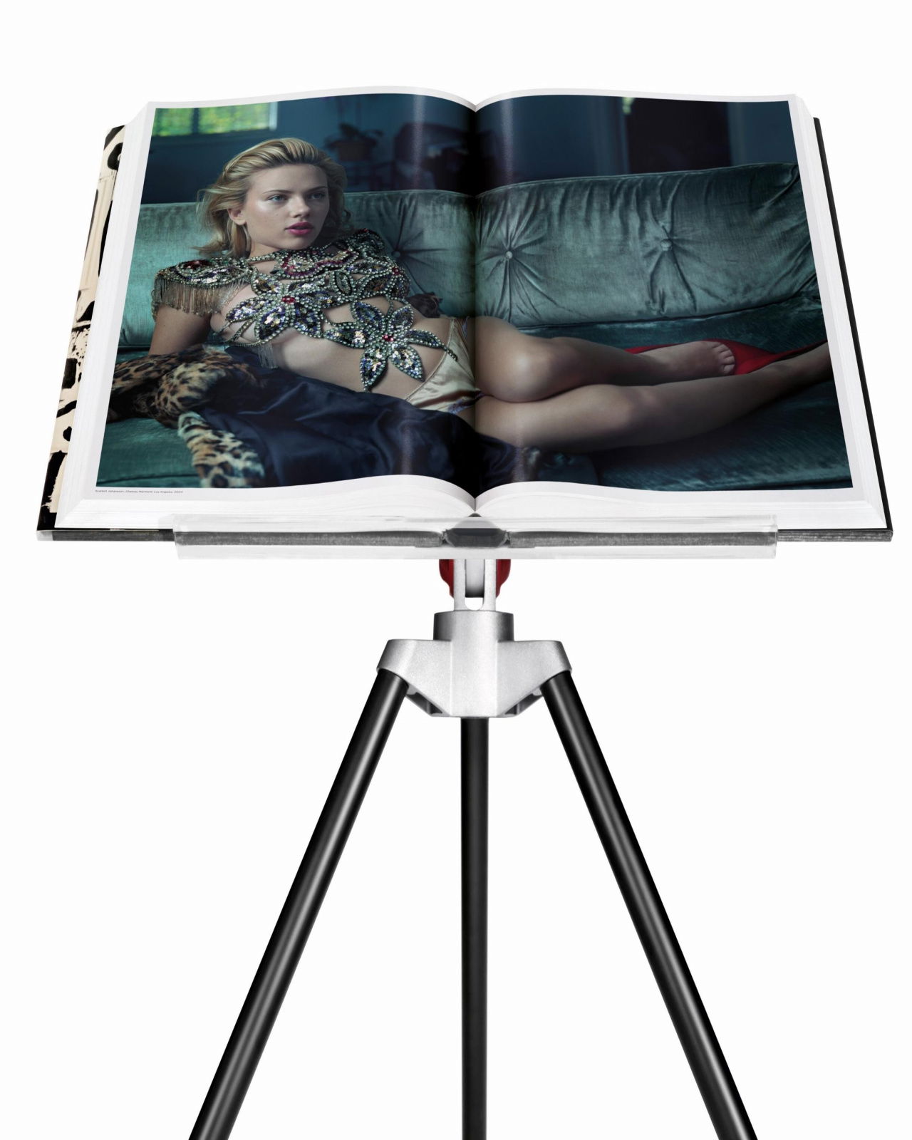 Annie Leibovitz: The Collector’s Edition (David Byrne) SUMO