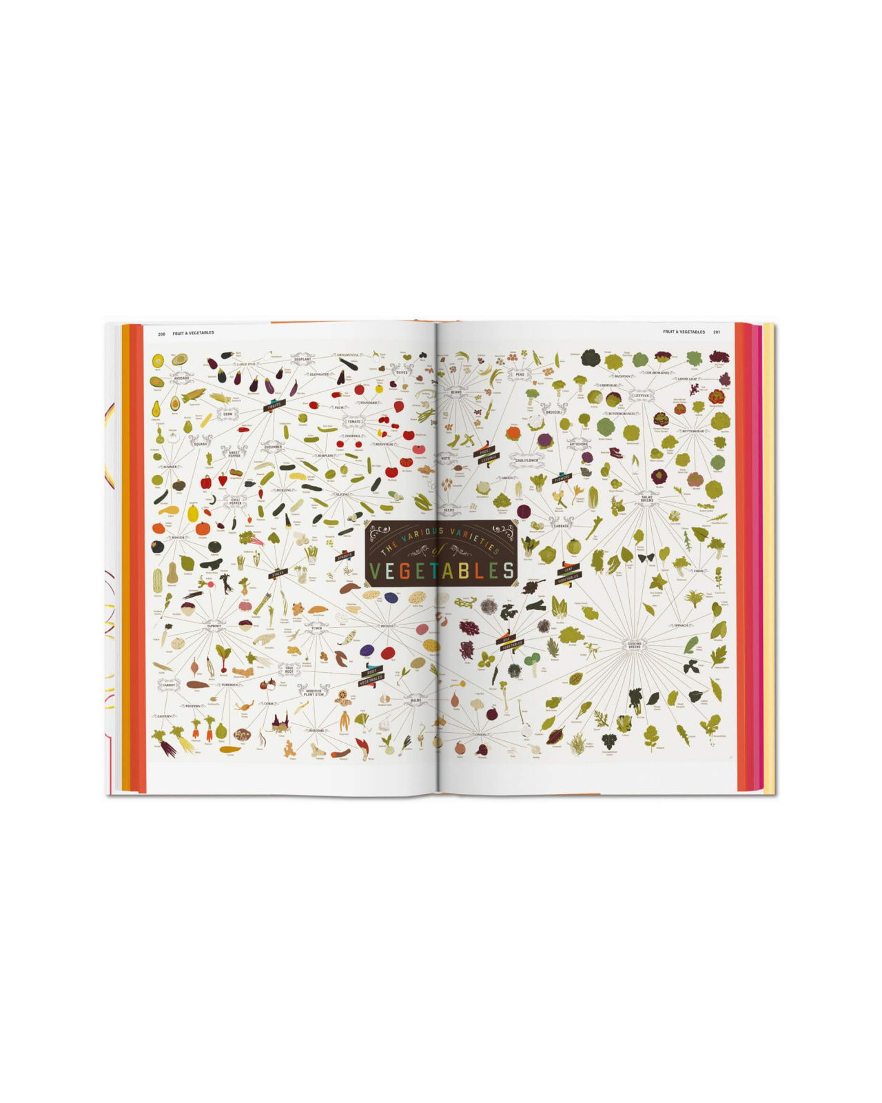 Food & Drink Infographics