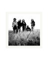 Pearl Jam Print Only / XXL