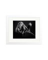 Stevie Nicks 1977 White / Small