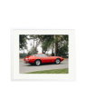 Ferrari Daytona White / XL