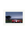Ferrari Daytona Comp Print Only / XL