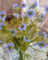 Nigella faux flower blue