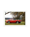 Ferrari Competizione Print Only / XXL