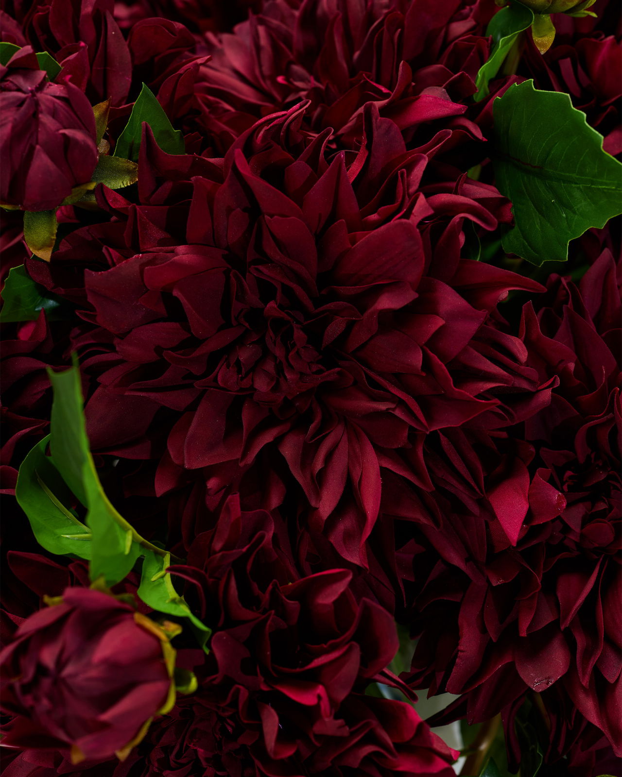 Dahlia snijbloem bordeaux