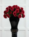 Rose Cut Flower Red