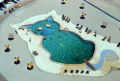 Cat-Shaped Pool