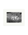 Sleeping Bardot Print Only / Small