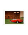 Lamborghini VT Print Only / XXL