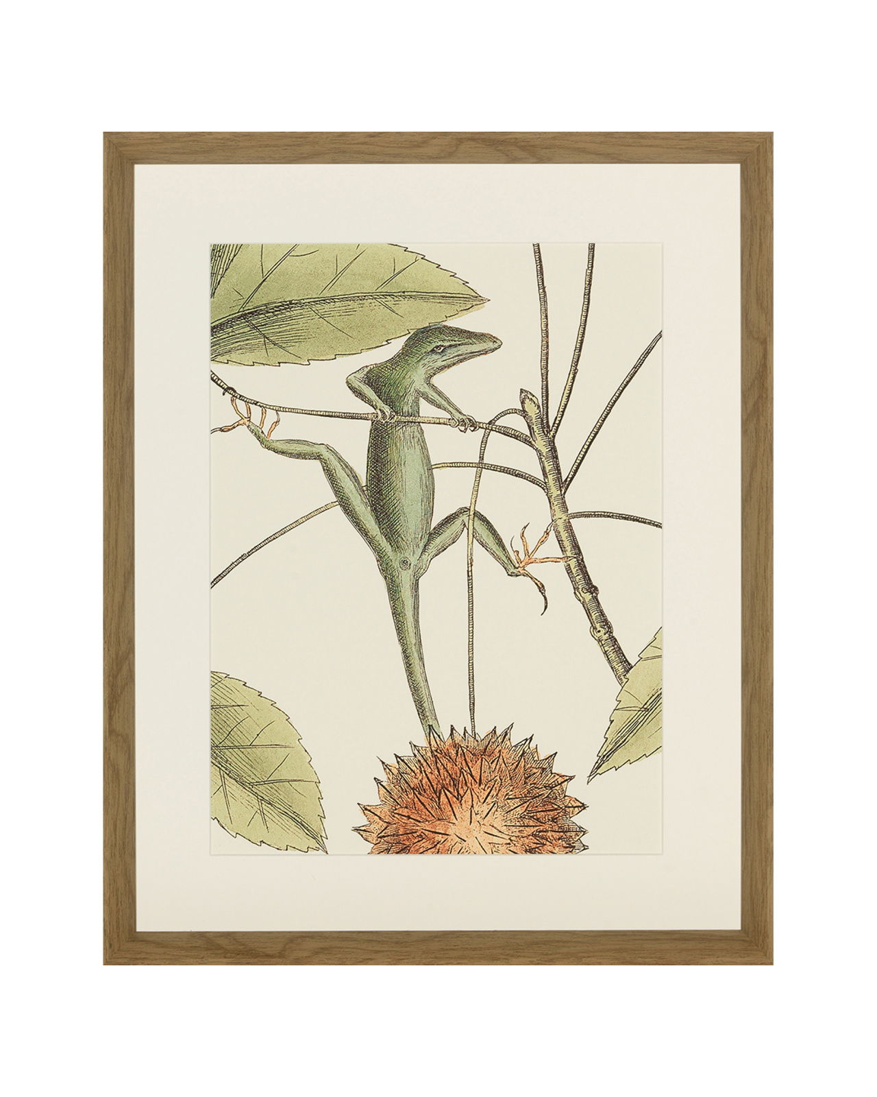 Frog, Balsam, Lizard, Fish (set of 4)