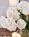 Peony Cut Flower White