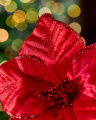 Josephine Flower Christmas Decoration Red