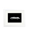 Porsche 356 Speedster White / Small