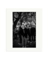 Cage The Elephant Print Only / Large