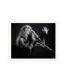 Stevie Nicks 1977 Print Only / XXL