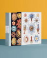 The Art and Science of Ernst Haeckel
