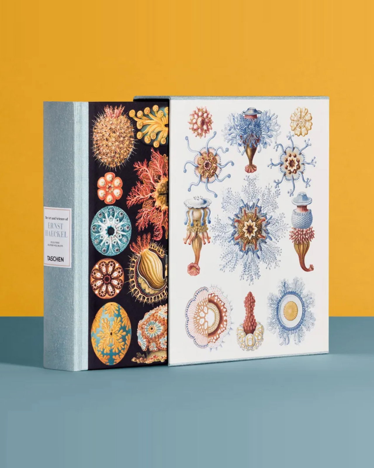 The Art and Science of Ernst Haeckel