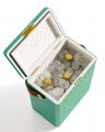 Fieldbar Cooler Box Parisian Green