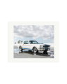 Ford Mustang Shelby GT350 Print Only / Medium