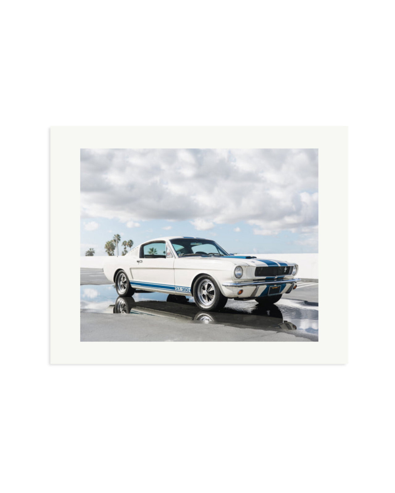 Ford Mustang Shelby GT350 Print Only / Medium