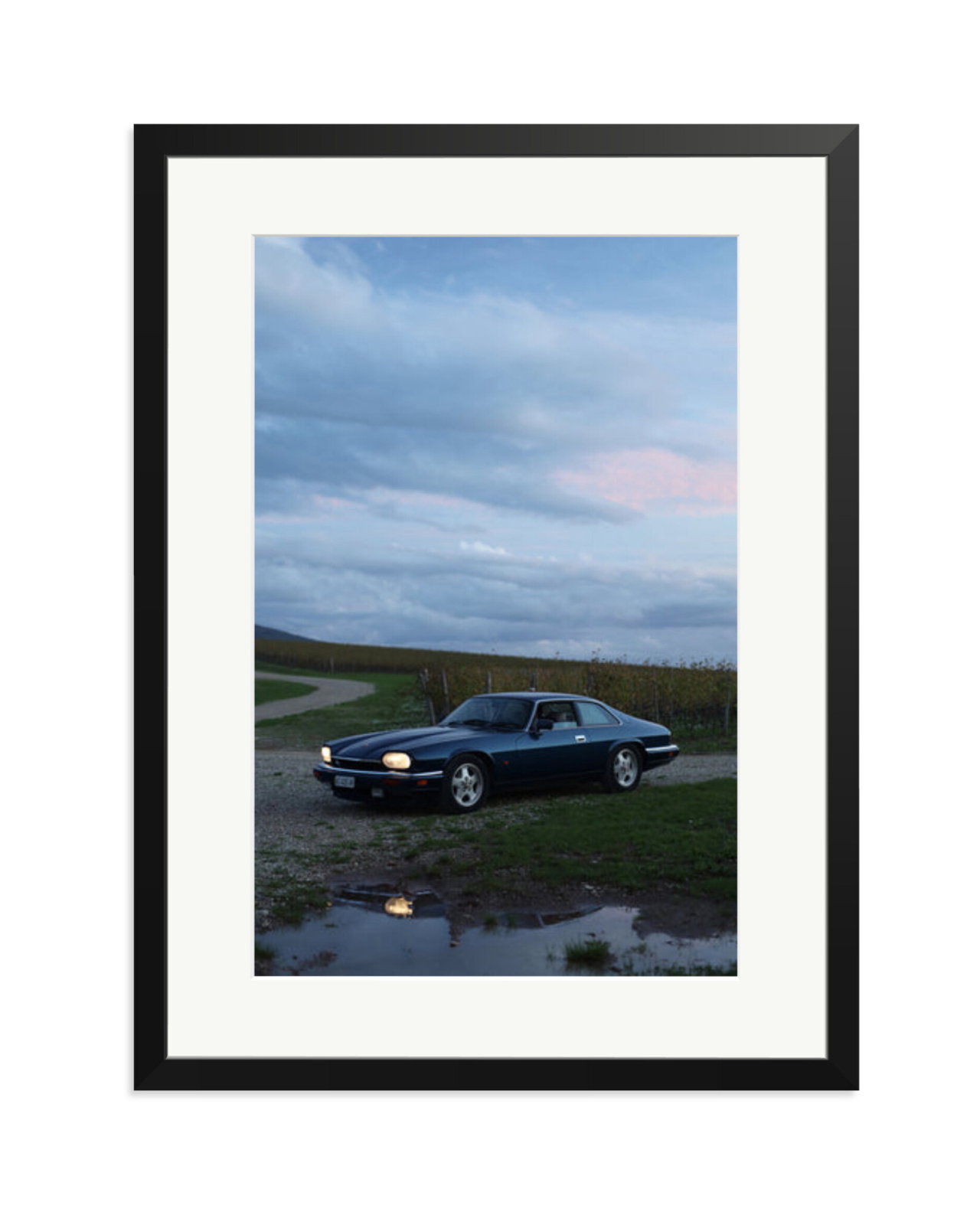 Jaguar XJS Black / XL