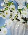 Cherry Blossom Branch White