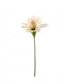 Amaryllis cut flower yellow