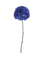 Hydrangea Cut Flower Dark Blue