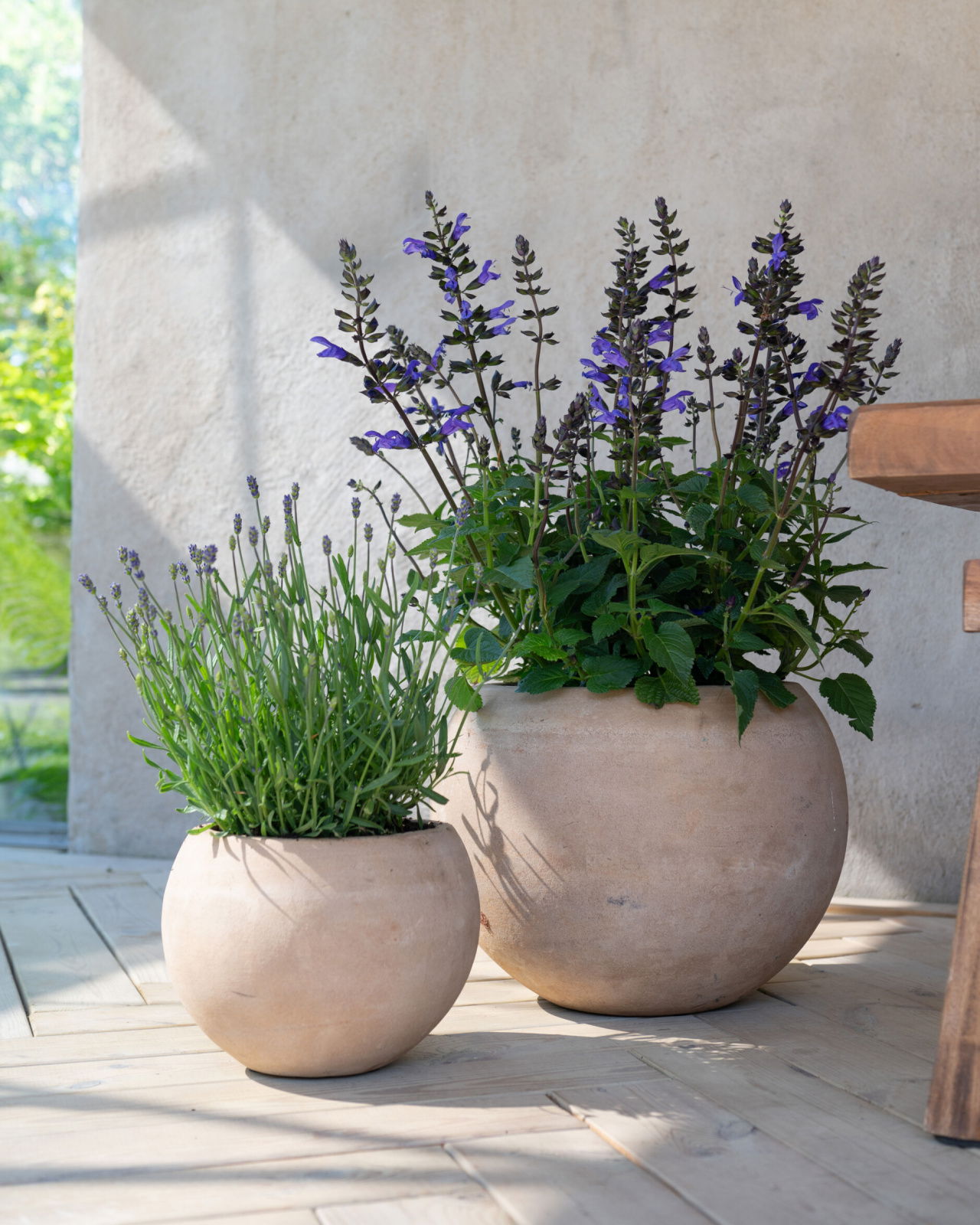 Kate blumentopf antik terrakotta