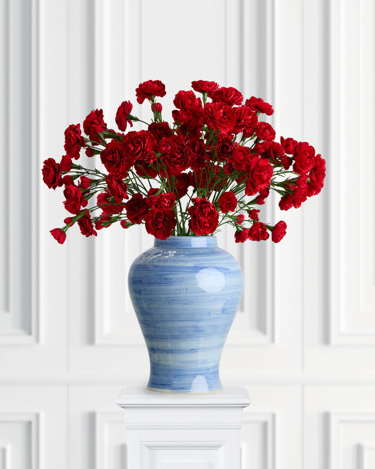 Carnation cut flower red