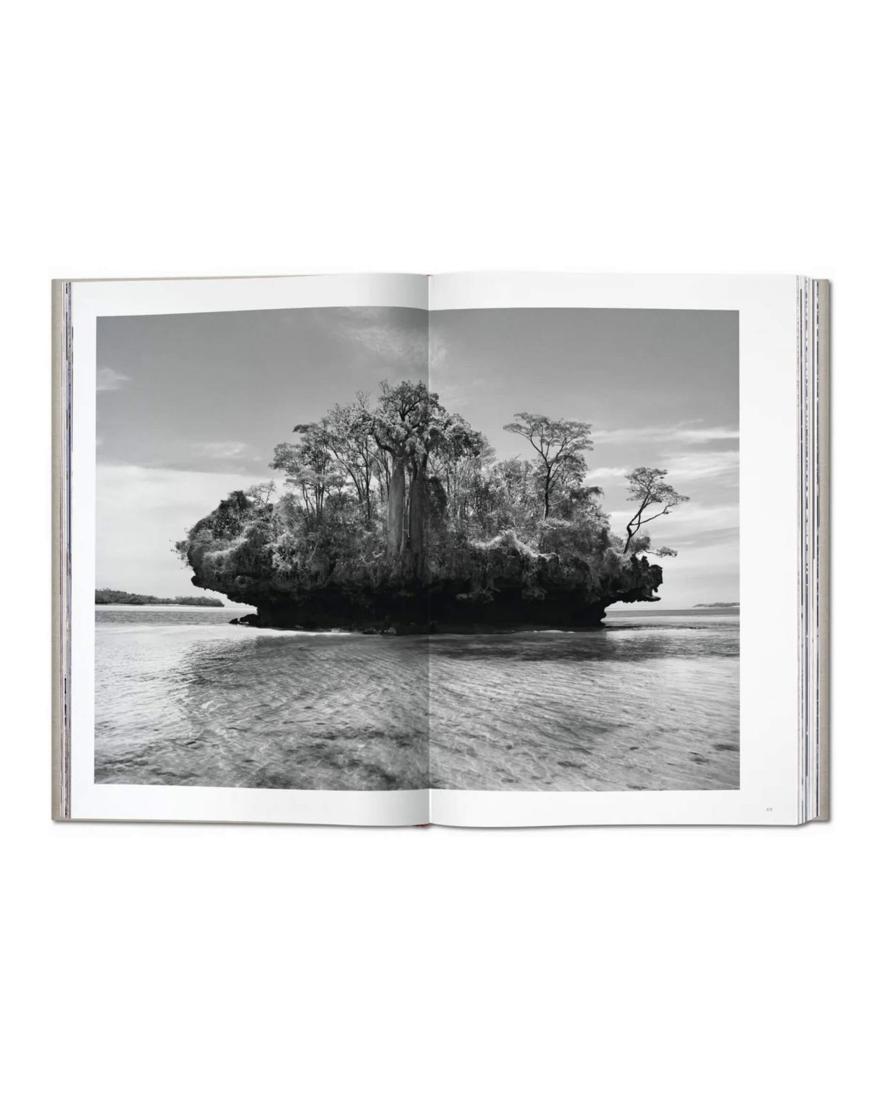 Sebastião Salgado Genesis SUMO