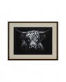 The Strenght of a Highland Cow