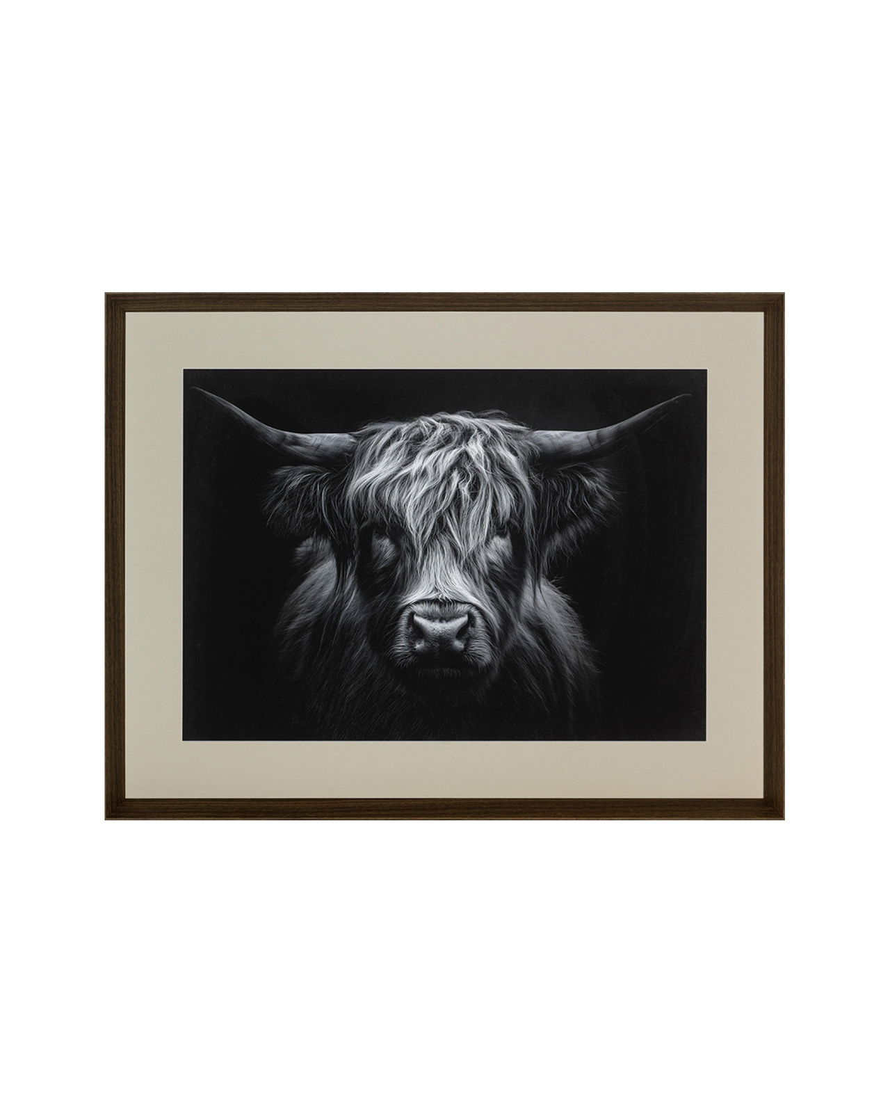 The Strenght of a Highland Cow