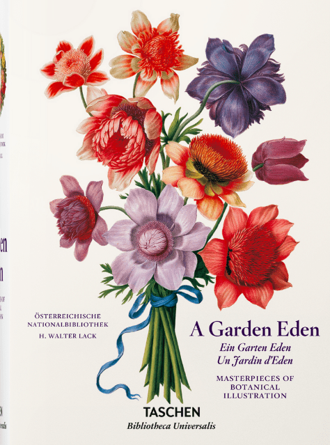 A Garden Eden. 40 series