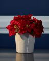 Poinsettia Artificial Plant Red