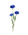 Cornflower Cut Flower Blue