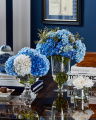Hortensia d’Été Gift Set Blue