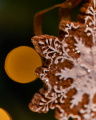 Marple Gingerbread Snowflake Ornament