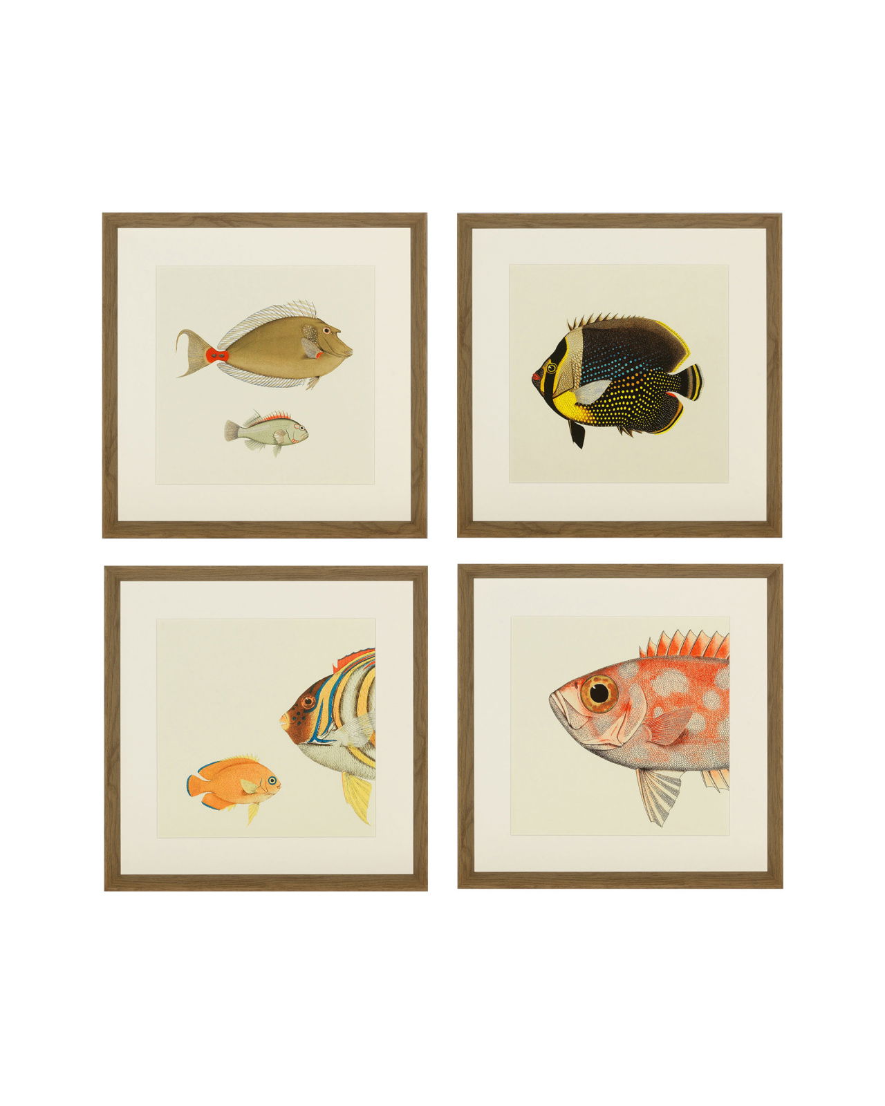 Fishes Set Of 4