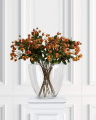 Rosehip Cut Flower Orange