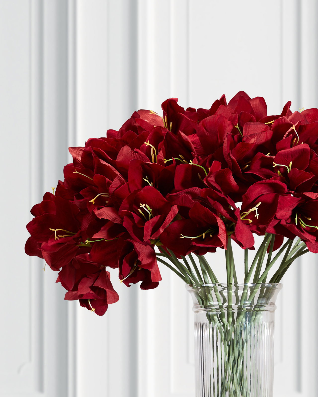 Amaryllis snitblomst rød