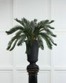 Cycas palm konstträd grön