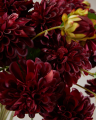 Dahlia snitblomst burgundy