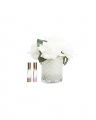 Bouton de Rose Gift Set
