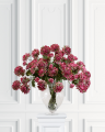 Pink cut chrysanthemum
