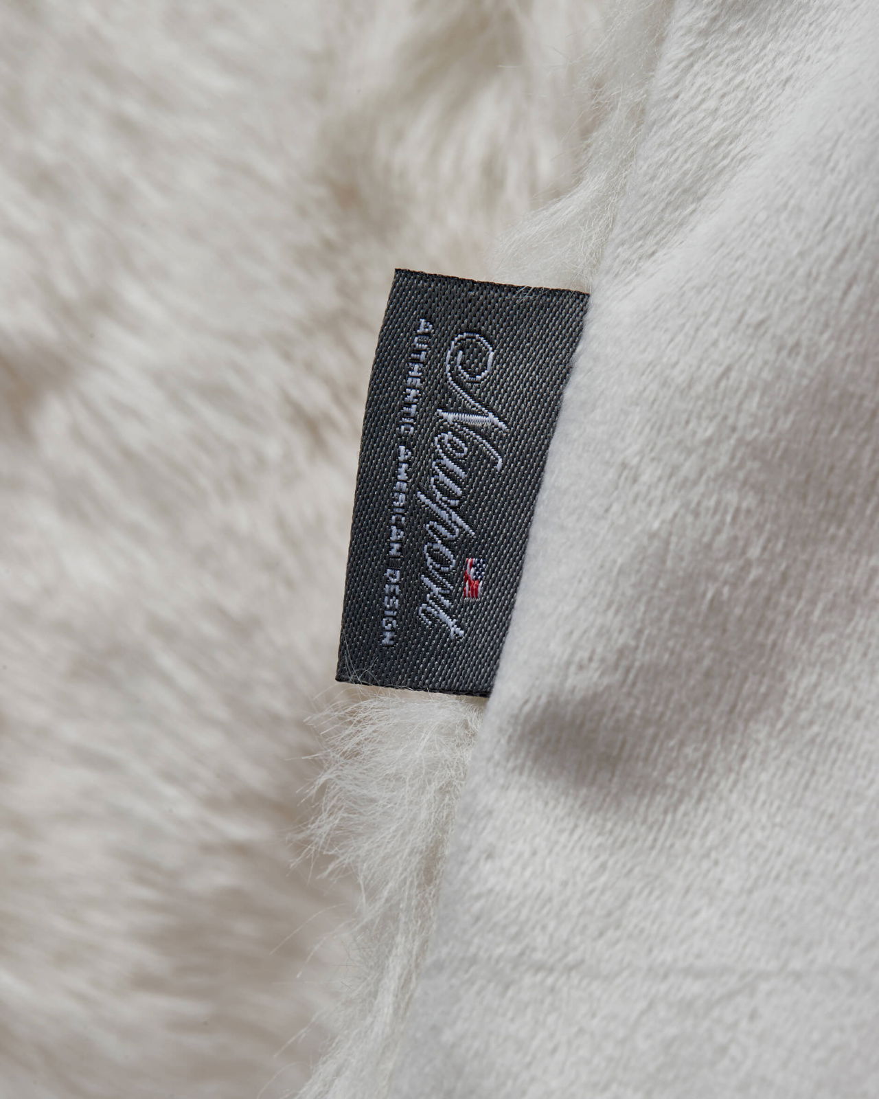 Aspen cape polar bear