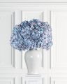 Hortensia – afskåret blomst i blå