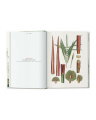The Book of Palms. 45th Edt.
